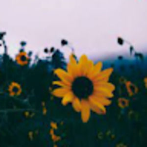 Meet your Posher, Elle